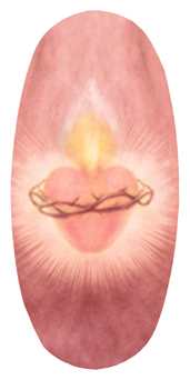 DASOV 134 PK Heart Thorn Pink